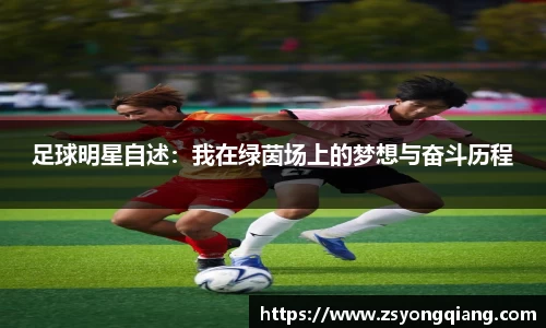 OD体育官方欧洲杯平台