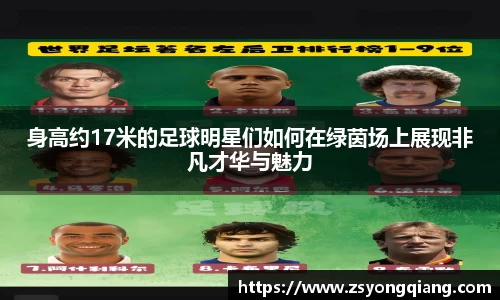身高约17米的足球明星们如何在绿茵场上展现非凡才华与魅力